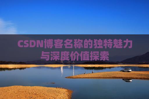 CSDN博客名称的独特魅力与深度价值探索